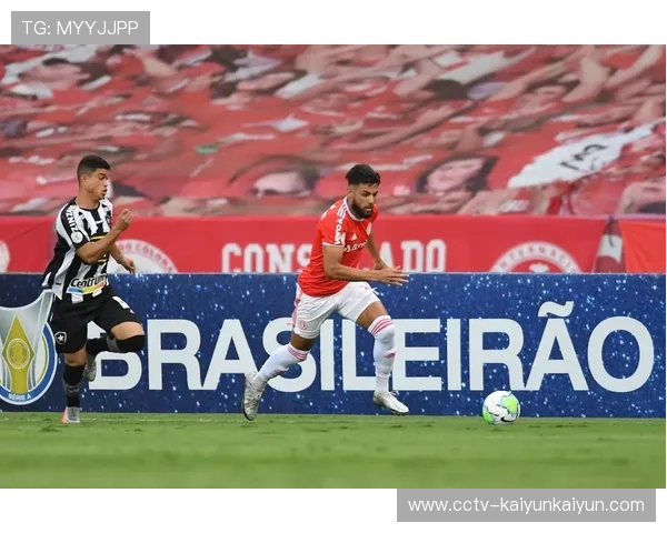 意甲主席西蒙内利：希望打造安全的球场环境，杜绝不良分子